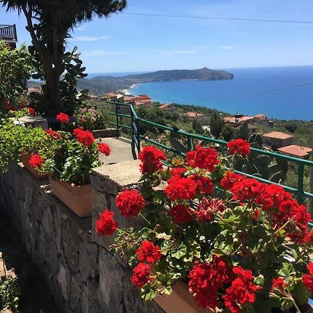 Villa Incanto B&B Caprioli Exterior photo